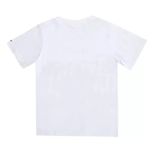 تی شرت آستین کوتاه پسرانه مدل MDSS-CH0689