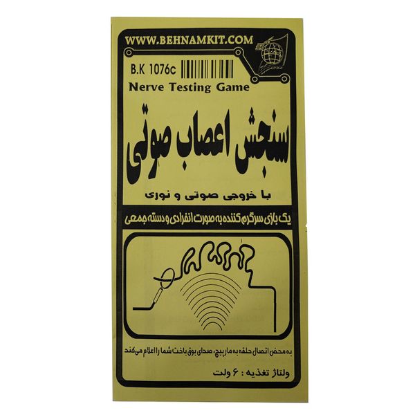 کیت آموزشی مدل سنجش اعصاب صوتی کد BK1076