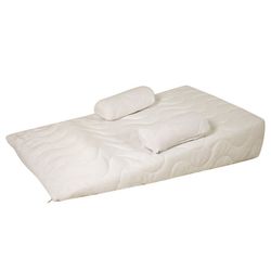 تشک آنتی رفلاکس کودک دی روحه مدل Anti Reflux