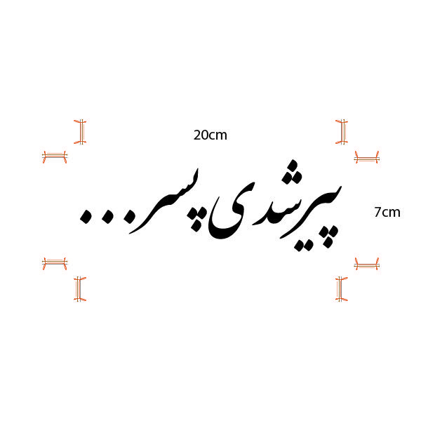 برچسب خودرو صفا طرح پیر شدی پسر