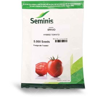 بذر گوجه فرنگی بریویو