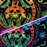 پوستر پارچه ای فیانی مدل بک دراپ بلک لایت کد F116