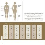 شومیز آستین بلند زنانه مدل SN-BD-1039699009