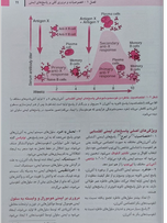 خلاصه ایمونولوژی ابوالعباس