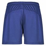 ست تاپ و شلوارک ورزشی مردانه مدل GS-DS-UFC 3080