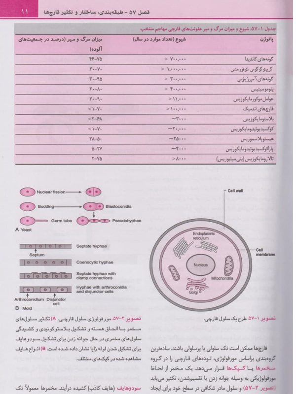 میکروبشناسی مورای جلد3 قارچشناسی و انگلشناسی