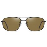 عینک آفتابی خلبانی (Aviator) آلبرت وگ مدل 6313C04-P130 Polarized Avantgarde Visionary