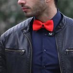 پاپیون مردانه مدل MDSS-CD7544
