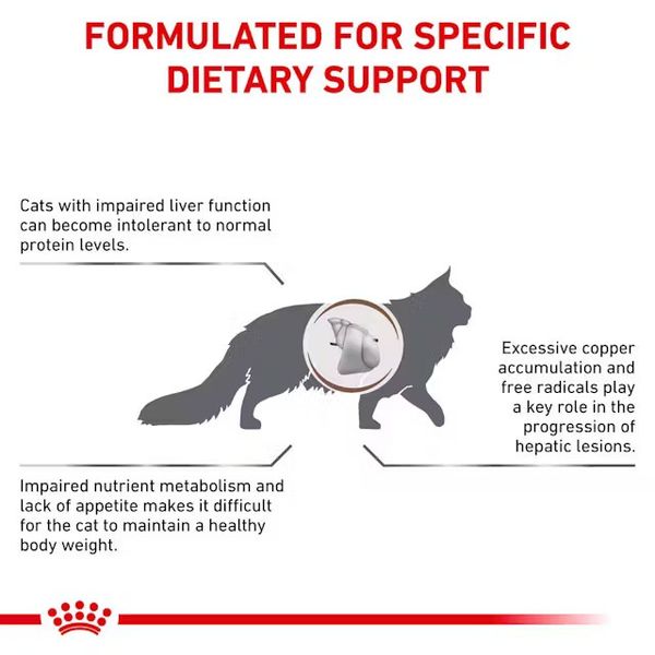غذای خشک هپاتیک گربه بالغ رویال کنین / Royal canin Hepatic dry cat food