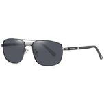 عینک آفتابی مردانه آلبرت وگ مدل 6313C85-P101 Polarized Avantgarde Visionary