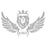برچسب بدنه خودرو ماتریسیو طرح بال کد M07