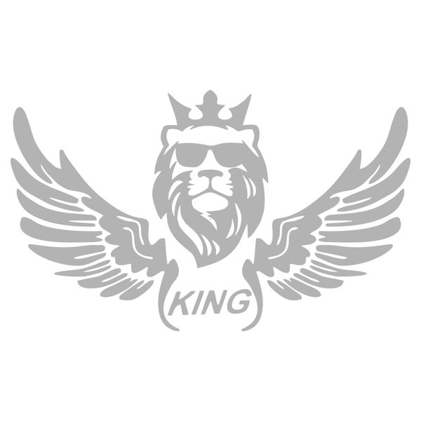 برچسب بدنه خودرو ماتریسیو طرح بال کد M07