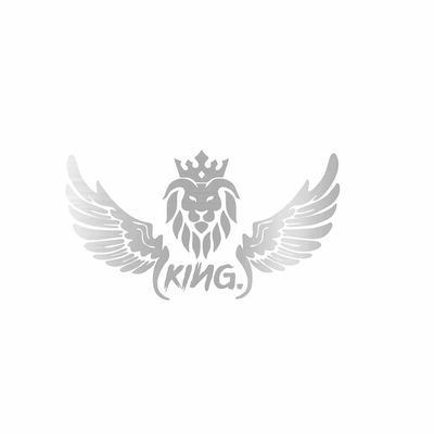 برچسب بدنه خودرو رادیانس طرح LionFly کد B38