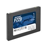 اس اس دی اینترنال پتریوت مدل P220 ظرفیت یک ترابایت (گارانتی 24 ماهه الماس رایان ایرانیان)