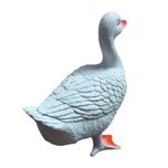 فیگور مدل مرغ و خروس مجموعه 20 عددی