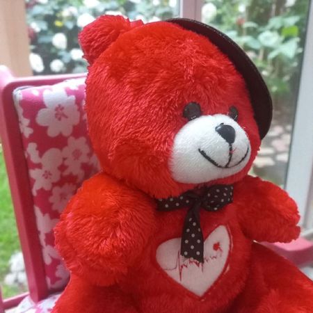 عروسک مدل خرس کلاهدار ارتفاع 20 سانتی متر