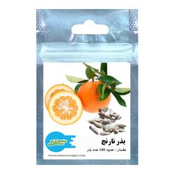 بذر نارنج منصوری گل کد Mn100 وزن 13 گرم