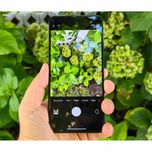 گوشی موبایل شیائومی مدل 13T 5G دو سیم کارت ظرفیت 256 گیگابایت و رم 8 گیگابایت