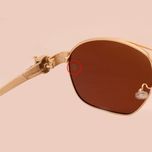 عینک آفتابی مدل CA820097-SuperLuxury