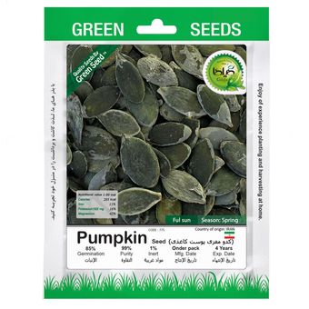 بذر کدو مغزی پوست کاغذی گیلدا کد 775