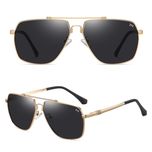 عینک آفتابی خلبانی (Aviator) مردانه آلبرت وگ مدل JS8531C02-P101 Polarized Avantgarde Visionary