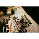 قیچی باغبانی فیسکارس مدل ReNew Gardening Scissors کد F2023