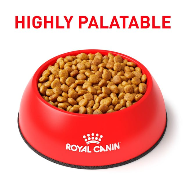 غذای خشک سگ بالغ یورینری اس او رویال کنین / Royal canin Urinary S/O dry dog food