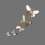 آینه پلکسی گلس مدل پروانه مجموعه پنج عددی