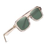 عینک آفتابی خلبانی (Aviator) آلبرت وگ مدل S32101C2 Acetate Avantgarde Visionary