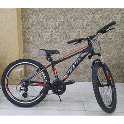 دوچرخه 24 ویوا حرفه ای مدل Travel