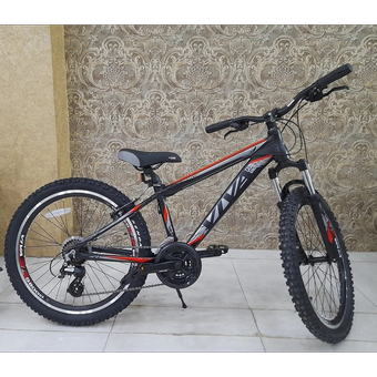 دوچرخه 24 ویوا حرفه ای مدل Travel