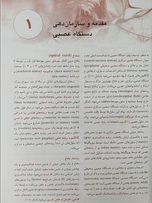 خلاصه نوروآناتومی بالینی اسنل