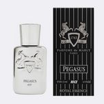 عطر جیبی مردانه نایس مدل پگاسوس با رایحه گرم حجم 32 میلی‌لیتر