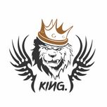 برچسب بدنه خودرو رادیانس طرح King fly کد B20