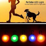 آویز قلاده شبرنگ