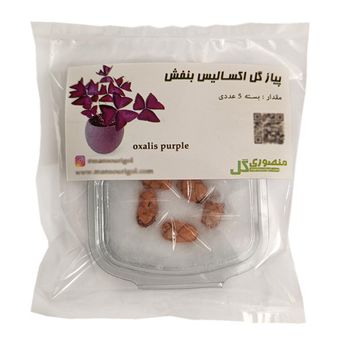 پیاز گل اکسالیس بنفش کد Mox-p5 بسته پنج عددی
