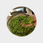 لوبیا سبز خرد شده