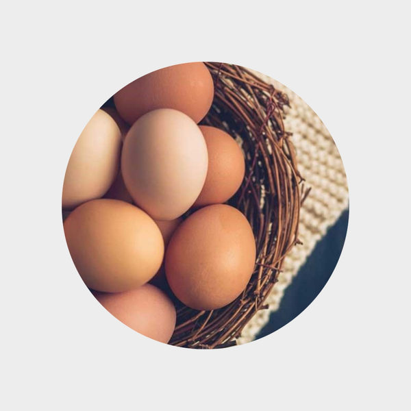 تخم مرغ خانگی