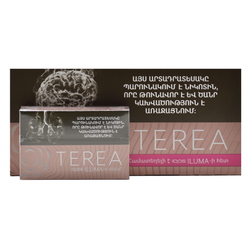 سیگار ترا ارمنی تیک/طعم فندق/TEREA TEAK
