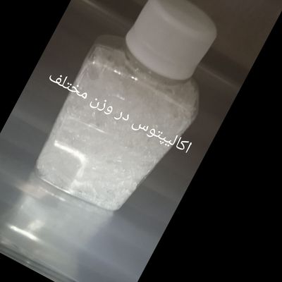 اکالیپتوس 100گرمی