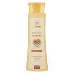 شامپو مو پروتئینه جوانه گندم سینره مدل Wheat Germ حجم 250 میلی‌لیتر