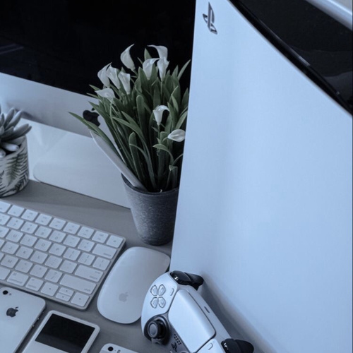 productImage