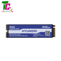 حافظه SSD هیوندای Hyundai Sapphire 256GB M.2
