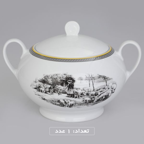 سرویس چینی 102 پارچه غذا خوری چینی زرین ایران سری ایتالیا اف مدل ویلیج درجه یک