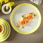 بشقاب غذاخوری زی مدل فرم اس کد  24 پاستل درجه عالی بسته شش عددی	