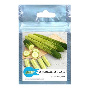 بذر خیار درختی محلی معطر منصوری گل کد Mcm50 وزن 2 گرم