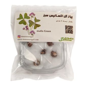 پیاز گل اکسالیس سبز کد Mox-g5 بسته پنج عددی