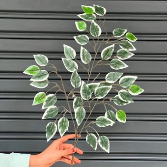 گل مصنوعی مدل برگ بنجامین ابلق بسته 12 عددی
