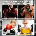 کیسه بوکس موزیکال دیواری PRO MAX مدل حرفه ای