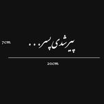 برچسب خودرو صفا طرح پیر شدی پسر*681